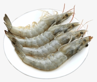 Best Prawn delivery in patna-chickenwala