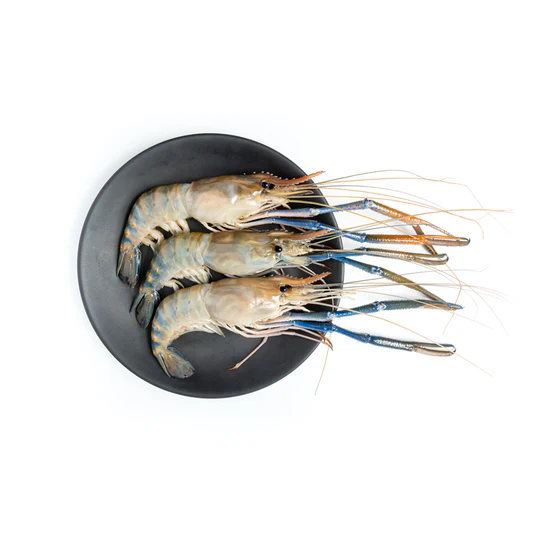 Fresh Tiger Prawn delivery in patna-chickenwala