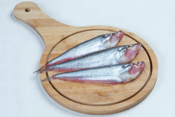 Best Papda Fish delivery in patna, chickenwala